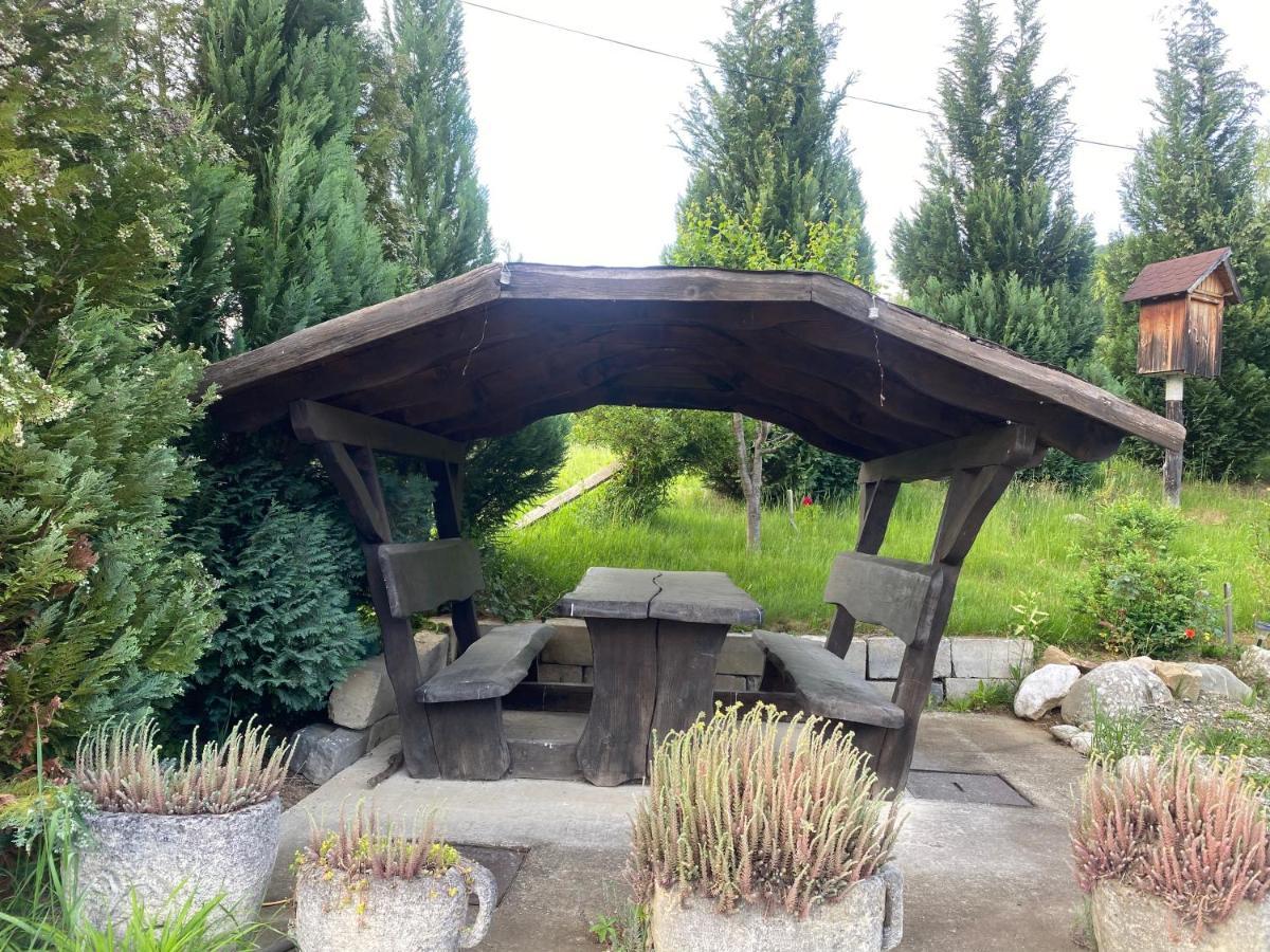 Cabana Vanatorului 8 Sohodol  Exterior foto